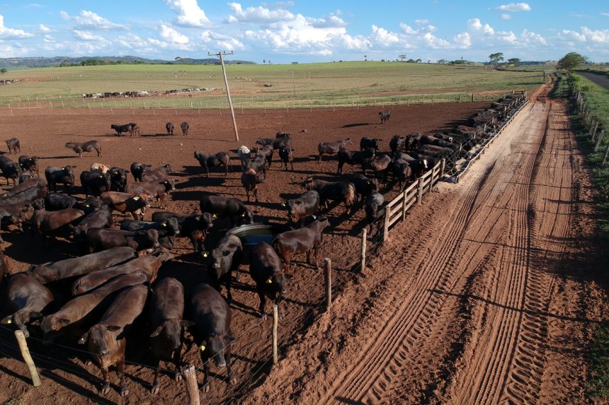 u.s.-builds-$750m-fly-factory-to-shield-cattle-industry