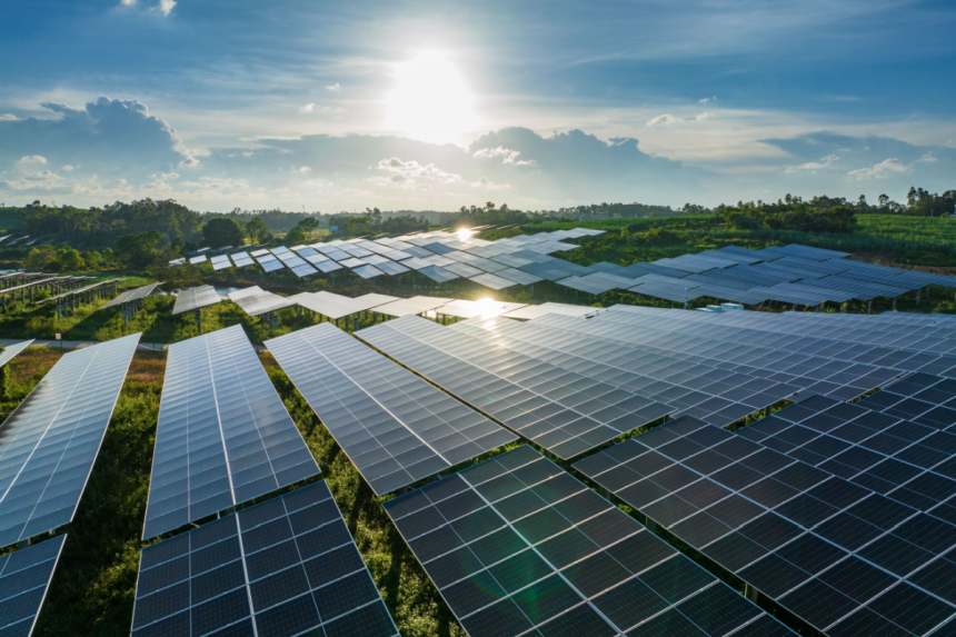 usda-halts-wind-and-solar-projects-on-farmland