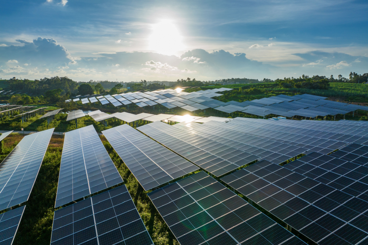 usda-halts-wind-and-solar-projects-on-farmland