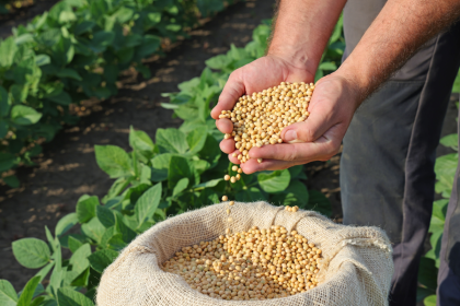 u.s.-soybean-exports-to-china-stalled-amid-tariffs