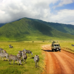 about-700-killed-in-tanzania-election-protests,-opposition-says